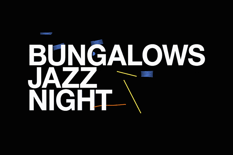 Bungalows and Bears Live Visuals